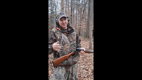 Revelation 350 for rabbit hunting