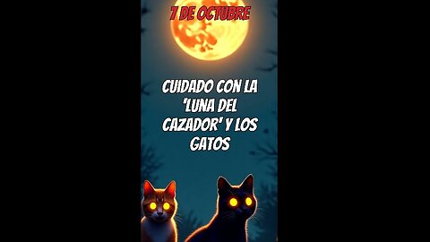 Cuidado con la 'Luna del Cazador' del 7 de Octubre y los gatos.