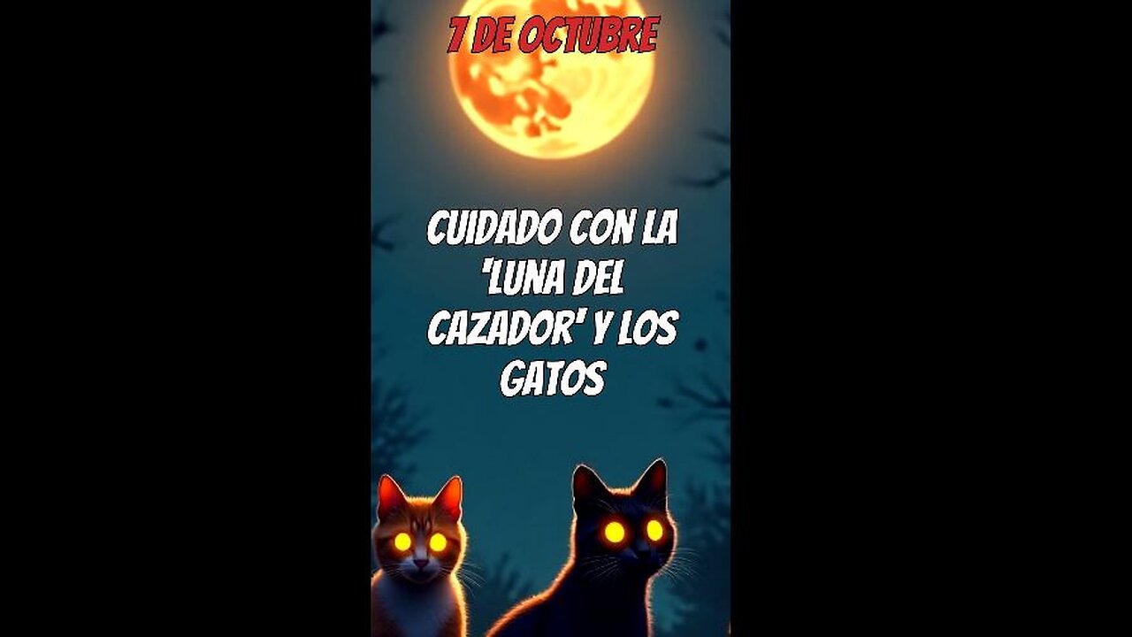 Cuidado con la 'Luna del Cazador' del 7 de Octubre y los gatos.