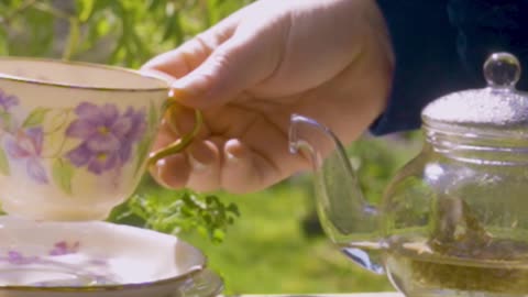 Lavender Tea Health Benefits | Calm Nerves & Support Digestion