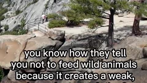 Should there be an EBT audit? 🤔