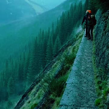 The Night Hikers Were Followed by Something That Left No Trace