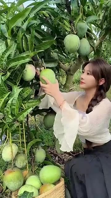 Summer Fruit Picking Paradise – What Would You Pick First?