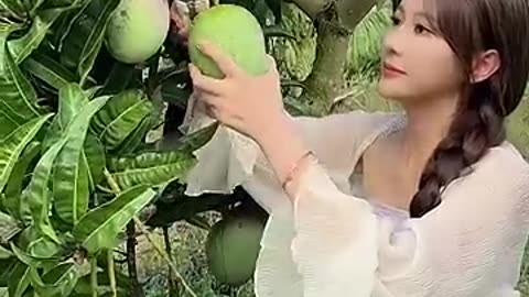 Summer Fruit Picking Paradise – What Would You Pick First?