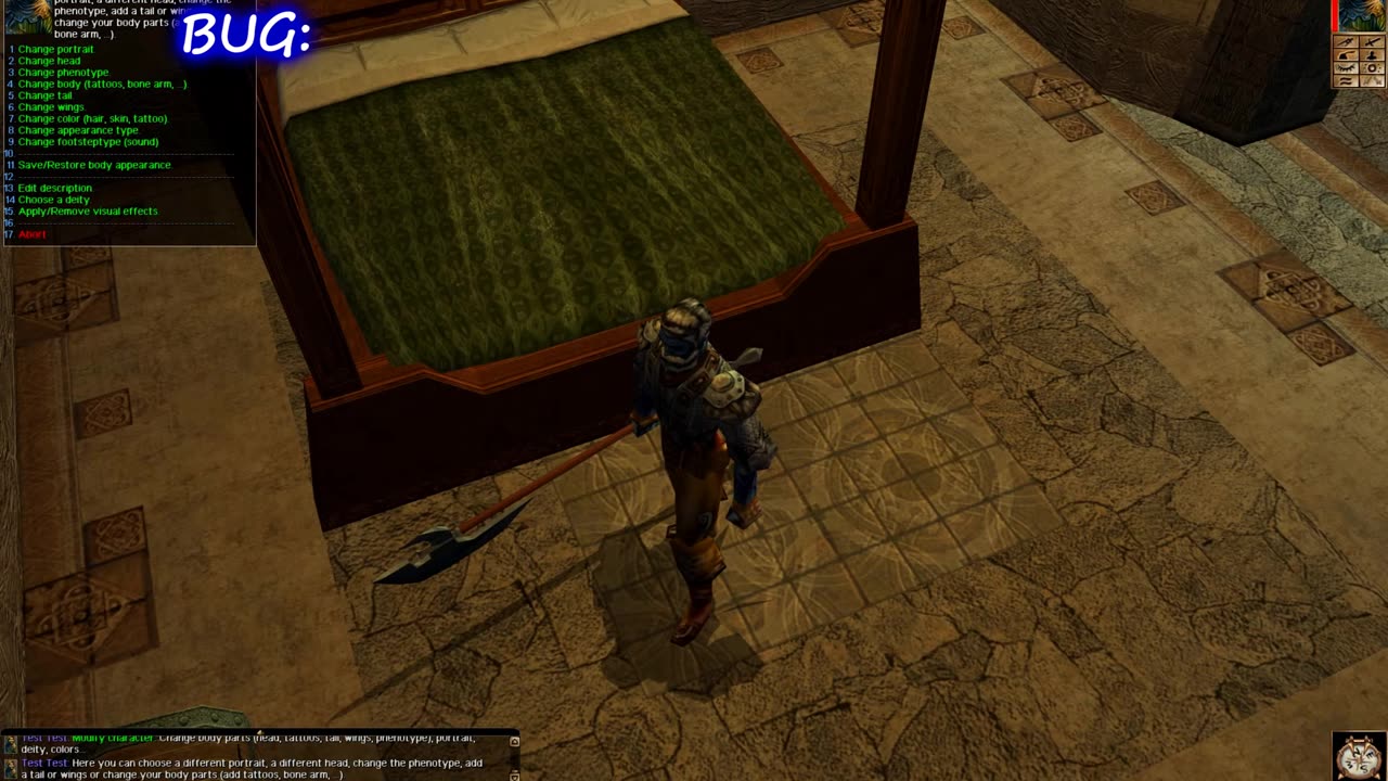 Neverwinter Nights 1 - Invisible Wings' Texture Bug and Solution [CZ/EN]