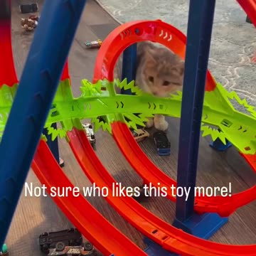 Entertainment for the entire family