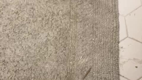 $75 silver celebration!!!