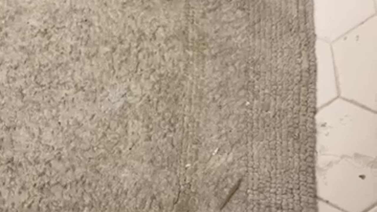 $75 silver celebration!!!