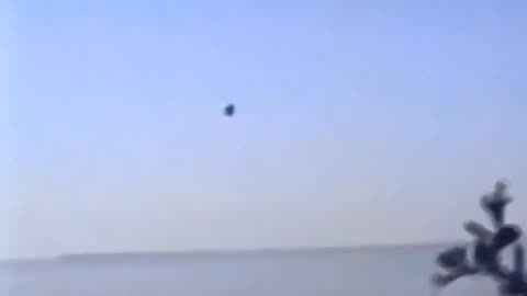 🔍🛸 The Redfish 'UFO Pod' 1993: Florida's Unsolved Mystery | TheTruthAbove