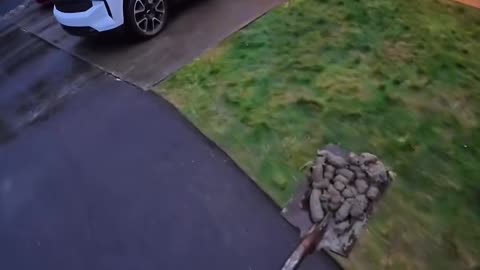 He threw a whole dozen pieces of shit at his neighbor.