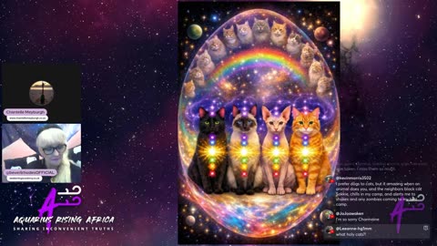 Through the eyes of Beverli Rhodes-Energy signatures of dogs and cats