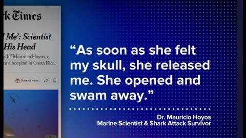 Shark Bites Researcher's Head