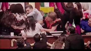 Mexico city lawmakers get into cat fight