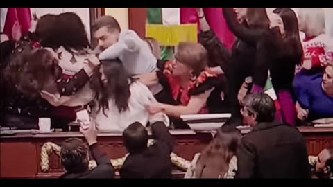 Mexico city lawmakers get into cat fight
