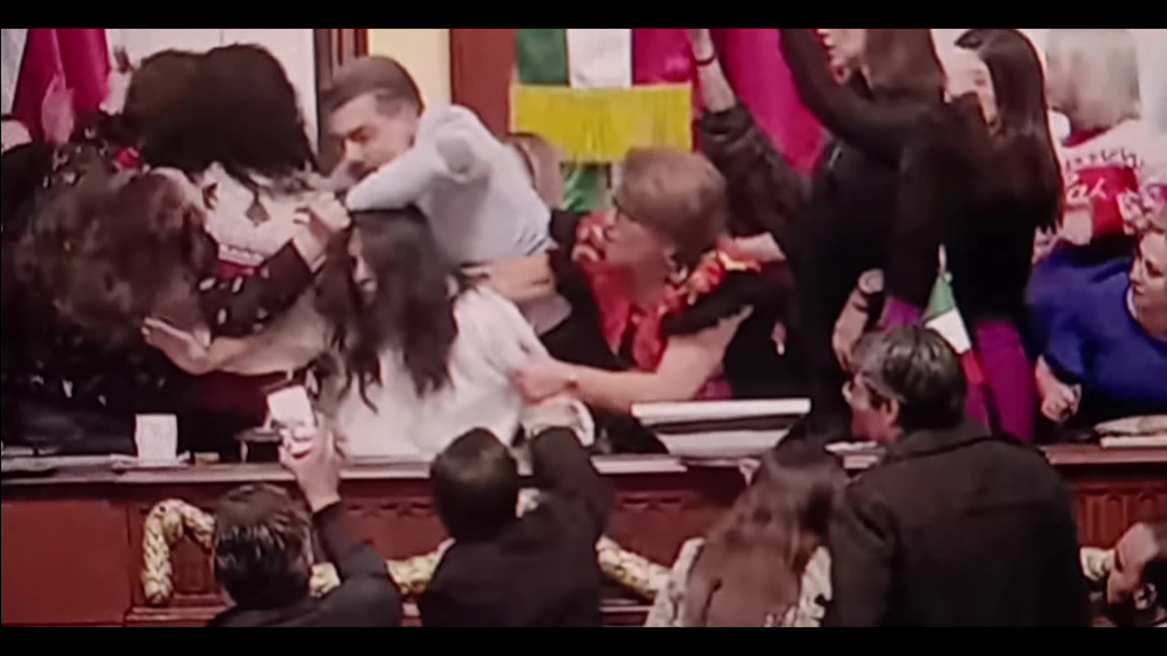 Mexico city lawmakers get into cat fight