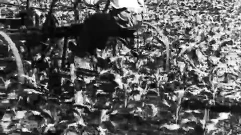 [POWER THOUGHT BUILT, THE] - [POWER THOUGHT BUILT, THE] - fc-fc-4004