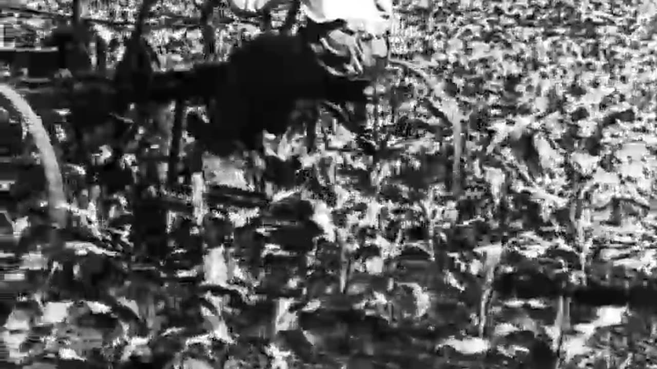 [POWER THOUGHT BUILT, THE] - [POWER THOUGHT BUILT, THE] - fc-fc-4004