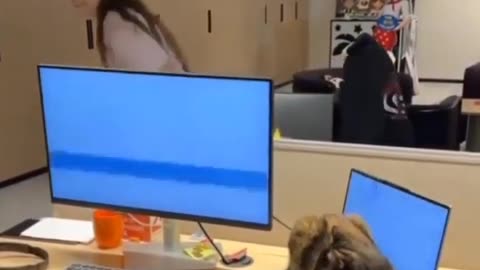 🤯🔥 Why Cloudflare Went Down! | FeedMyCuriosity