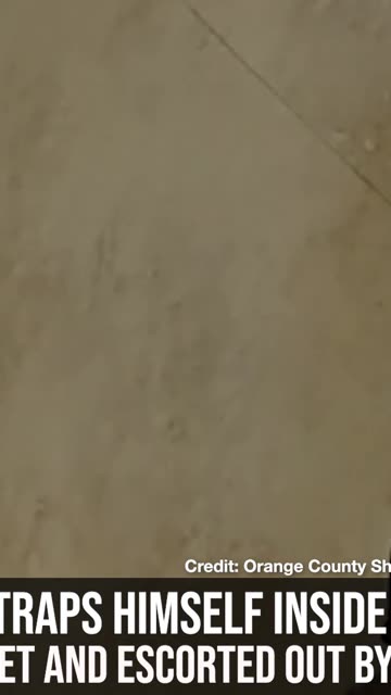 Deer Traps Himself Inside House, Gets Pet and Escorted Out by Police