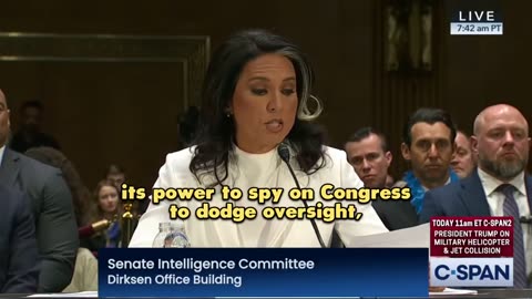 Tulsi Gabbard Confirmed As Director Of National Intelligence