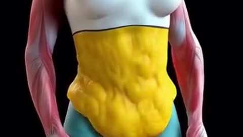 Great General knowledge