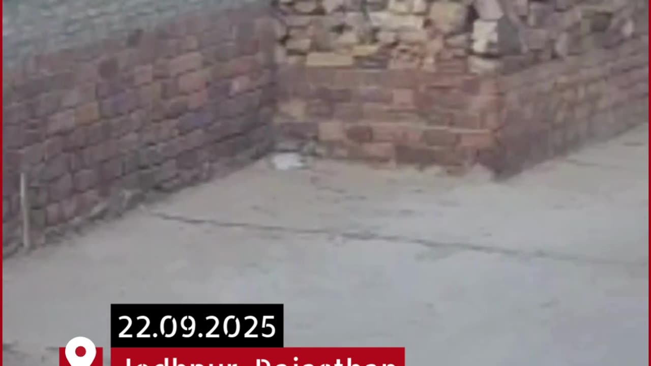 CCTV Shocker: Stray Bull Brutally Attacks Elderly Woman in Jodhpur