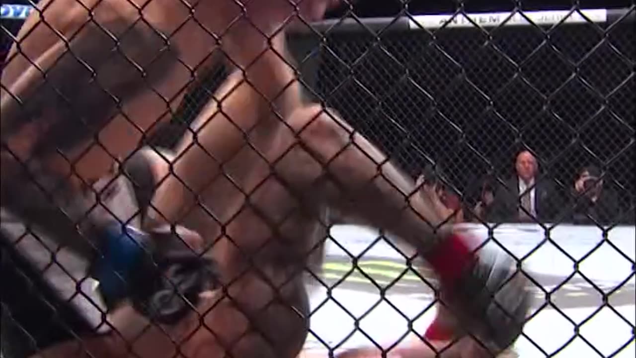 Best Finishes From UFC Vegas 103 Fighters 🔥