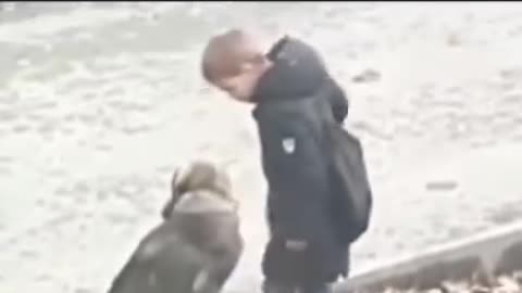 the cutest video you'll see today