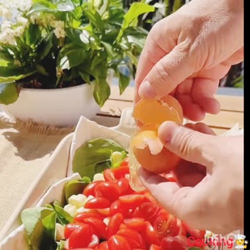 The Great chef👨‍🍳 cooking videos