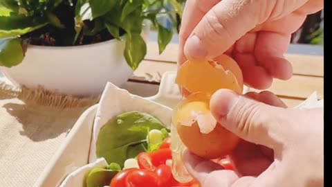 The Great chef👨‍🍳 cooking videos
