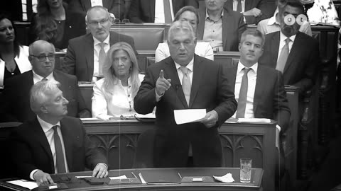 Valaki szóljon a kutyának, hogy a gazdája mást mondott