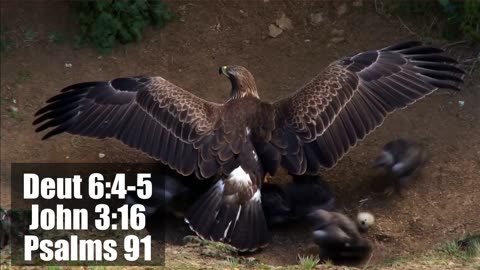 Revelations (Apocalipsis) 2:23-25