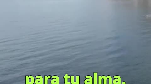 😊 60 NACISTE CON PROPÓSITO Jeremías 1:5 😊