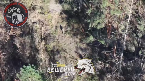 Ukraine war combat footage 10/6/25