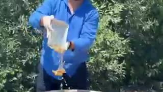 They Cooked Uzbek Pilaf for Charity — Free for Everyone!