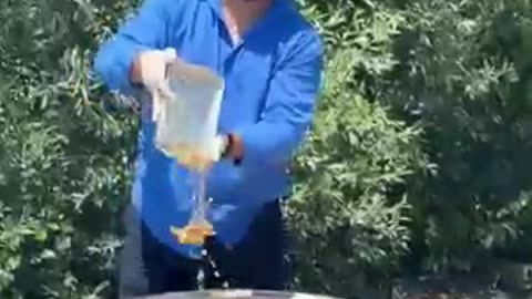 They Cooked Uzbek Pilaf for Charity — Free for Everyone!
