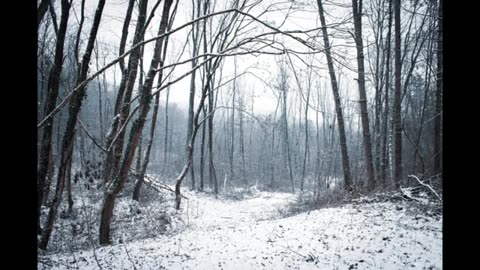 Death in the Woods by Sherwood Anderson