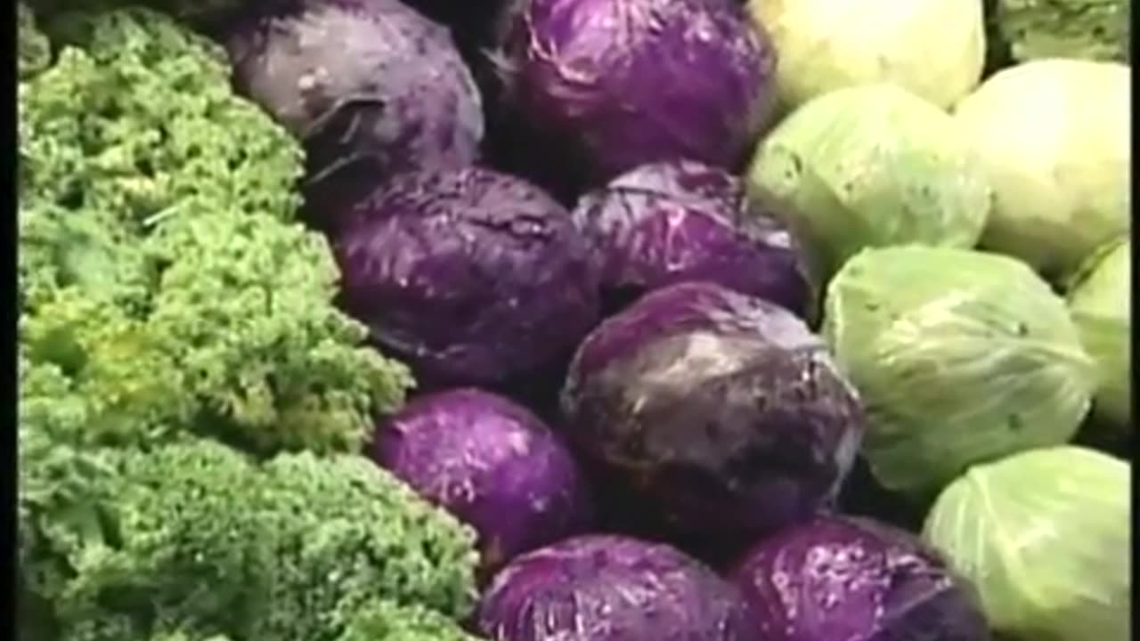 2007 Christian Broadcasting Network Vaccines and Autism
