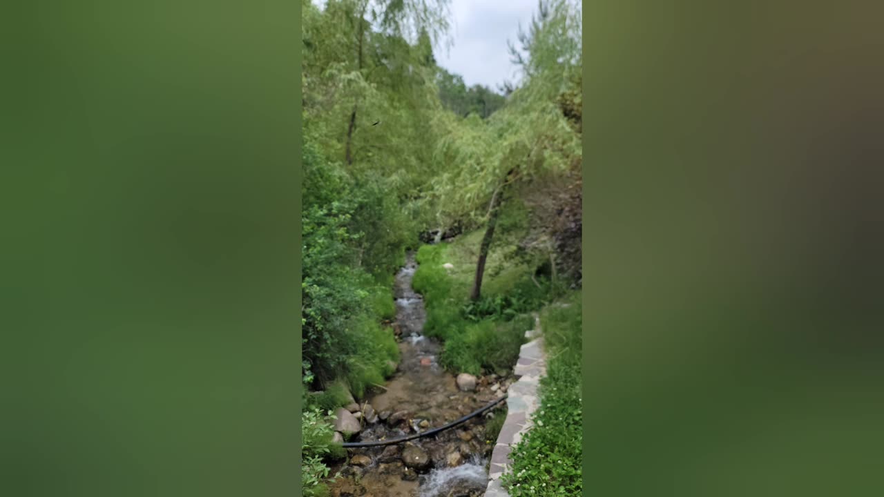 ๐The Word of Truth is the Word of Faith: Psalms 119:43 ยค 10/9/25๐