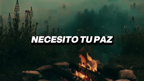 ✨ Encuentra la paz interior que tu alma necesita hoy 🙏 #OraciónDelDía