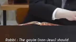 Rabbi: Preoccupation of the Goyim
