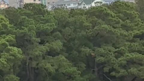👽🛸 Semi-Circle Object Spotted at Wright Brothers Memorial! | TheTruthAbove