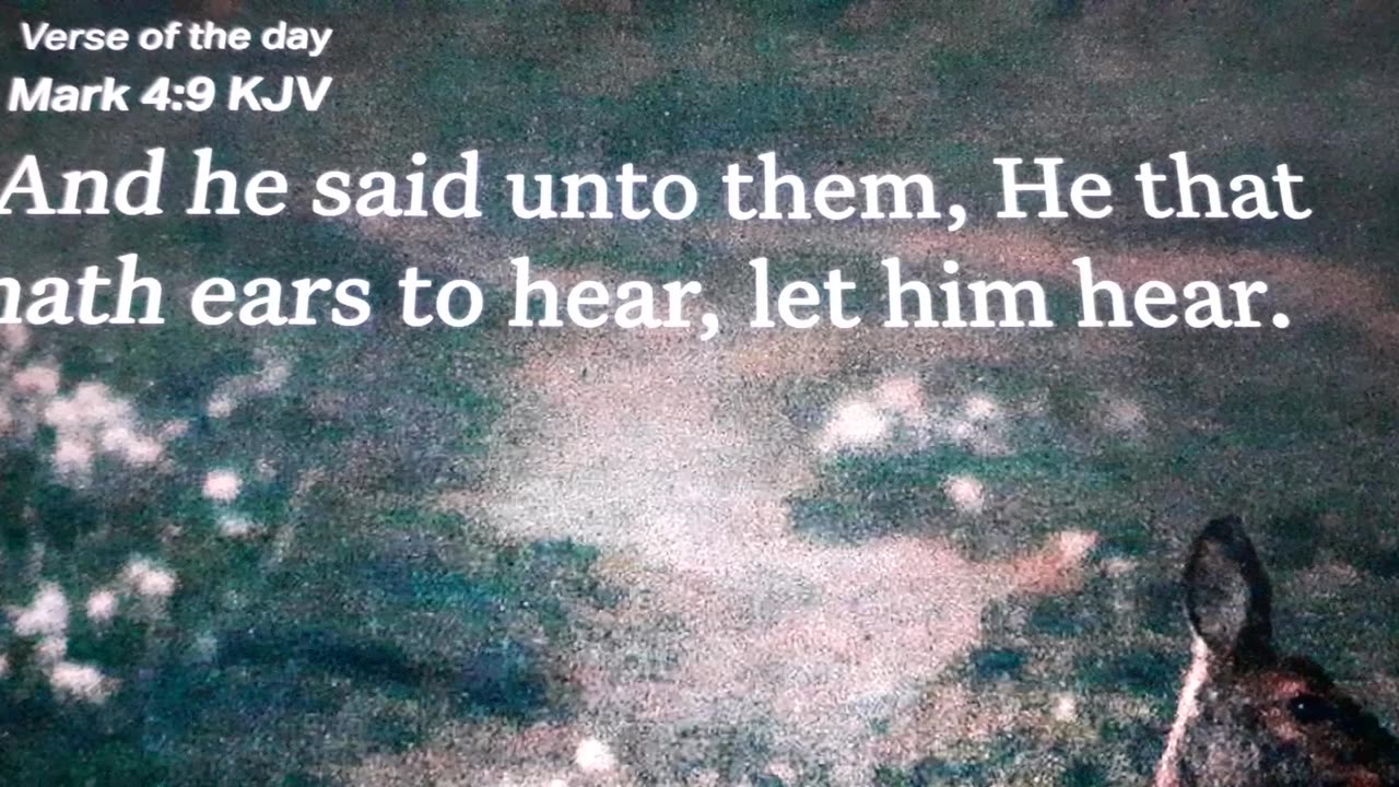 Todays Verse: Mark 4:9 - To Hath Ears To Hear. Just Like The Deer Who Hears In The Woods.