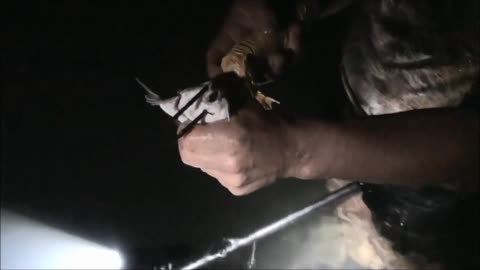14 Flounder with the spear