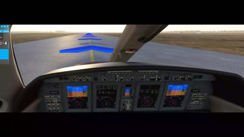 Flight Simulator
