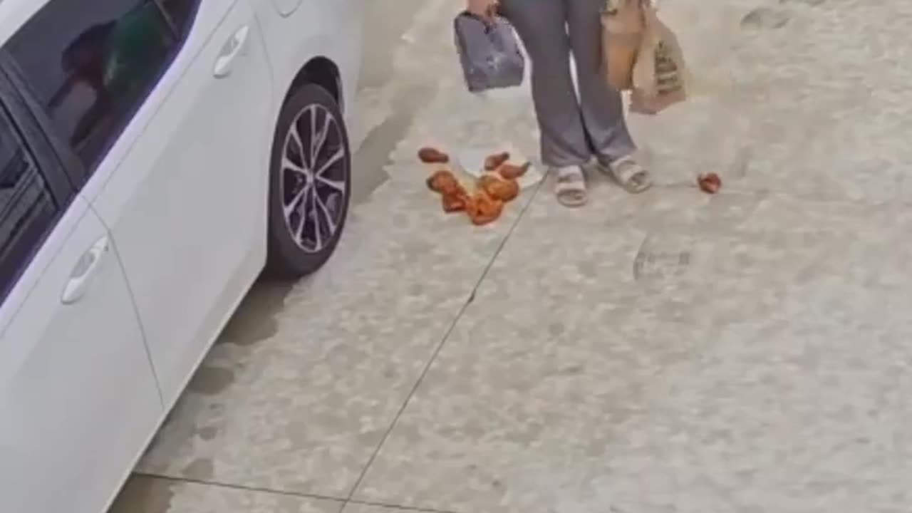 D'oh! 🤦♂️ The Ultimate Fail Compilation | FunFM