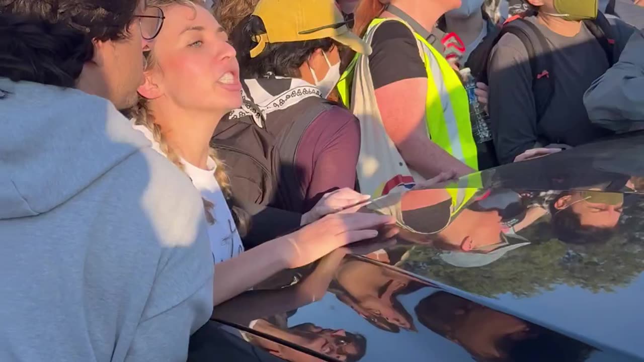 Illinois congressional candidate Kat Abughazaleh impeding ICE agent