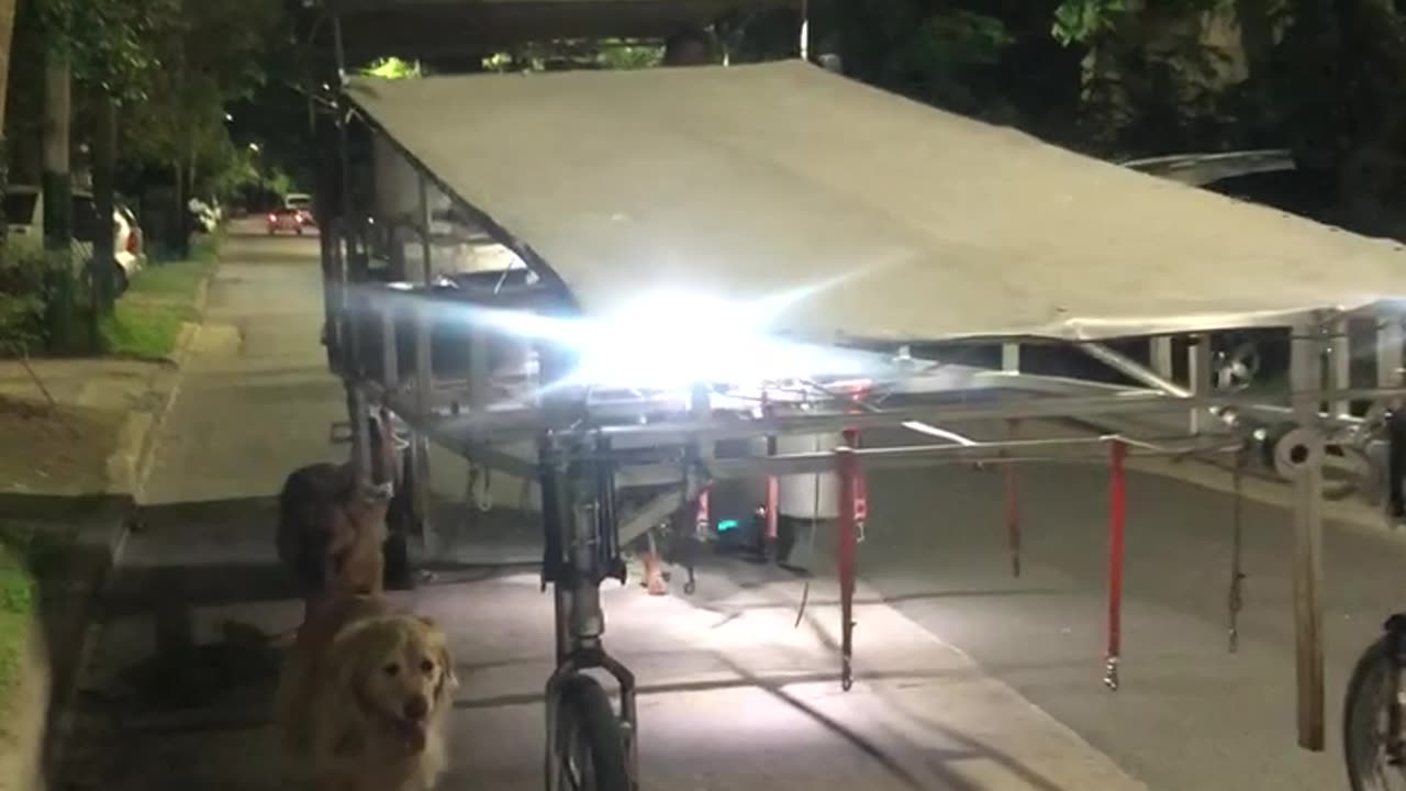 Practical Way To Exercise Multiple Dogs