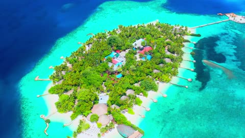 This is not a ''Coconut Island'', it is an island nation, Maldives.