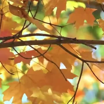 Powerful prayer for Thursday